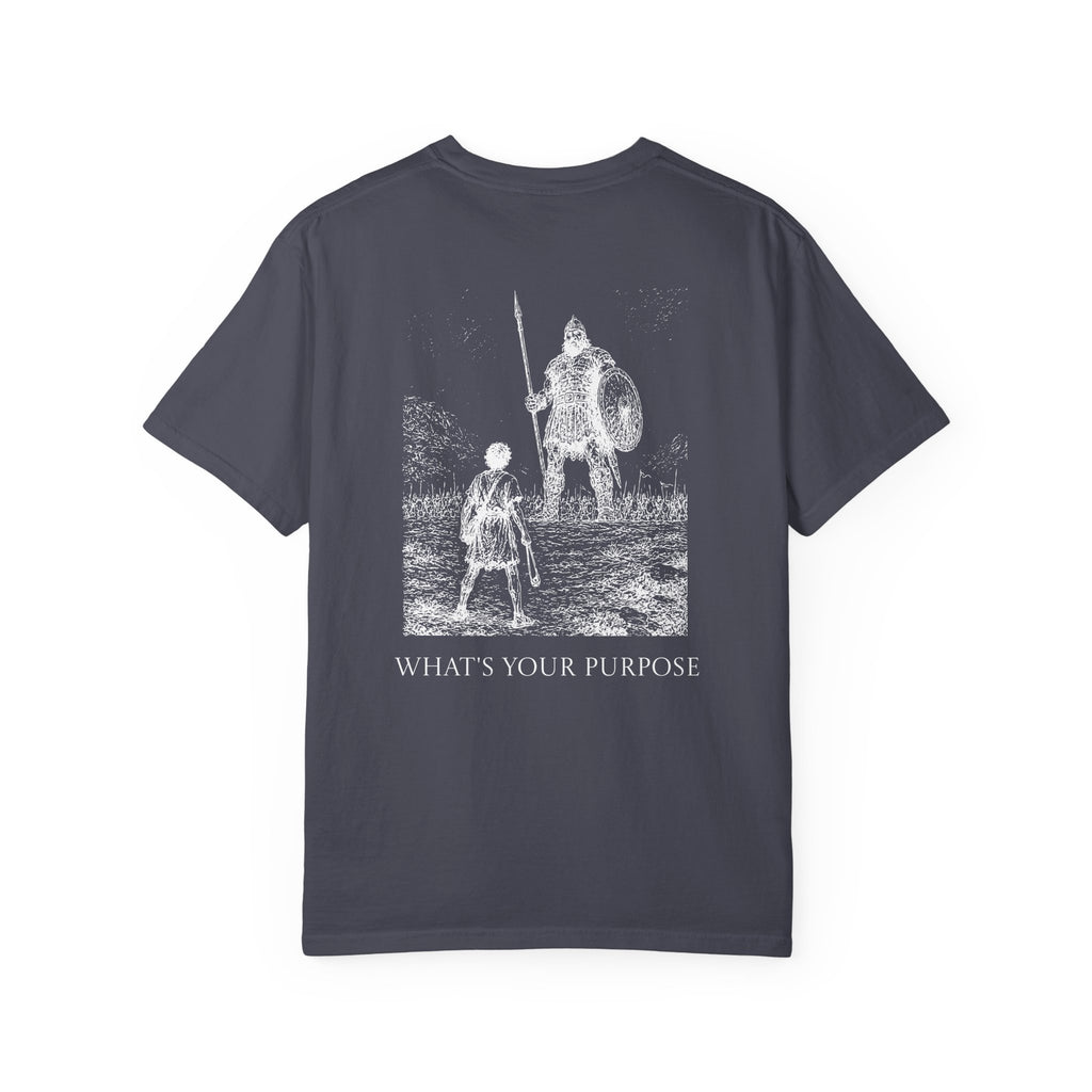 David and Goliath "What's Your Purpose" - Comfort Colors