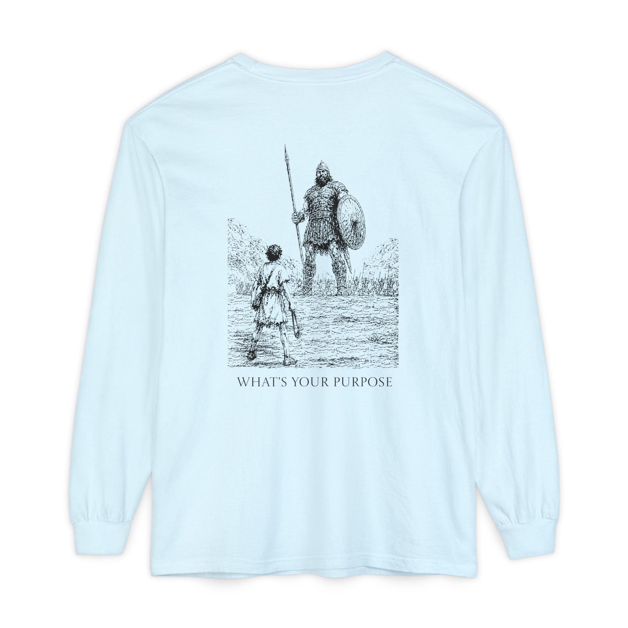 What's Your Purpose - Comfort Colors