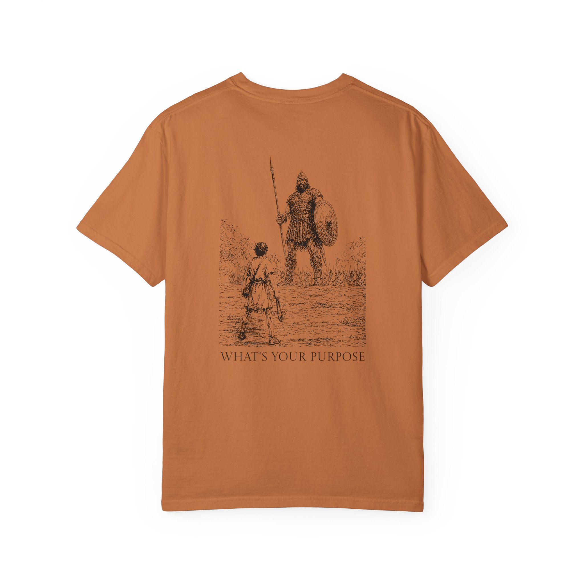 David and Goliath "What's Your Purpose" - Comfort Colors