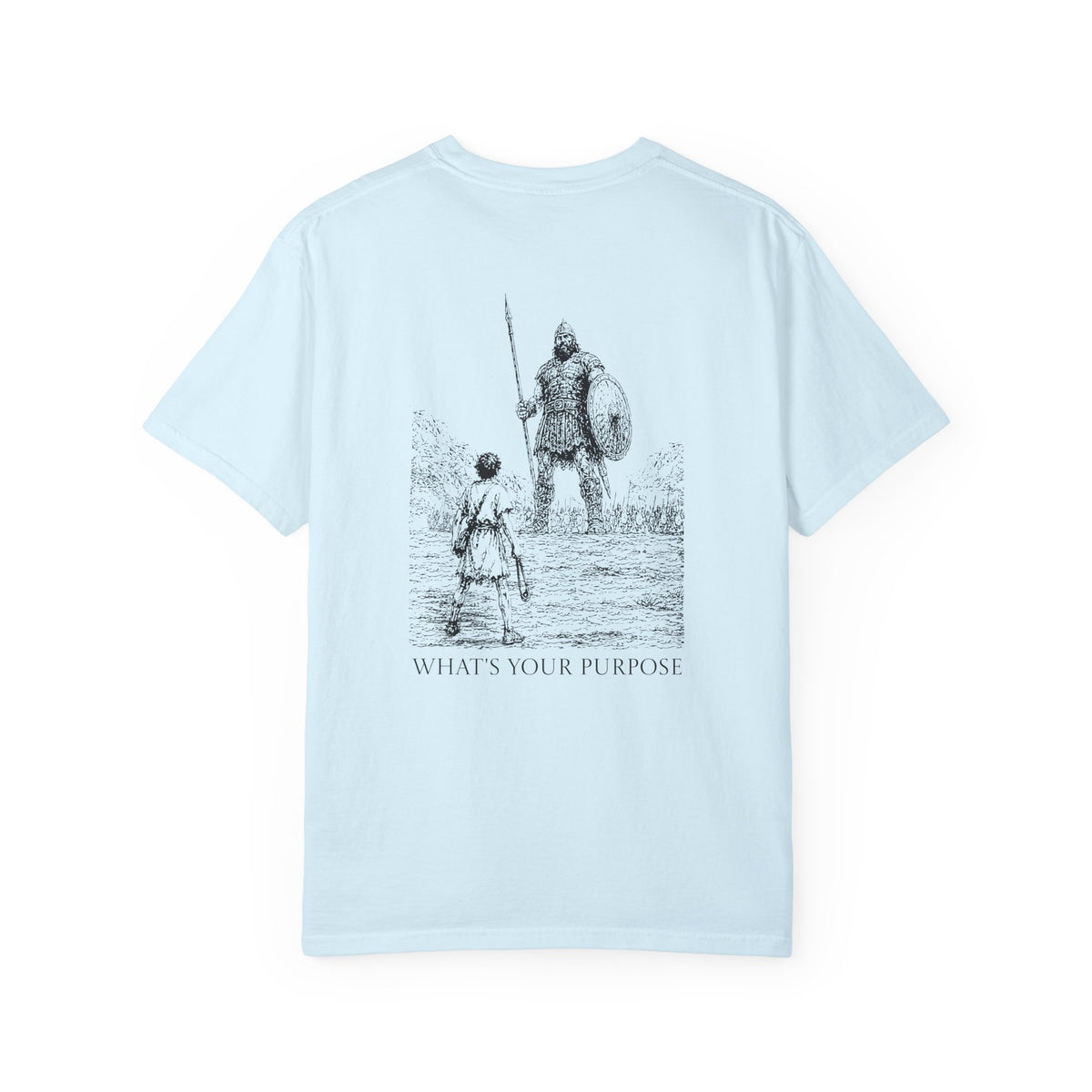 David and Goliath "What's Your Purpose" - Comfort Colors