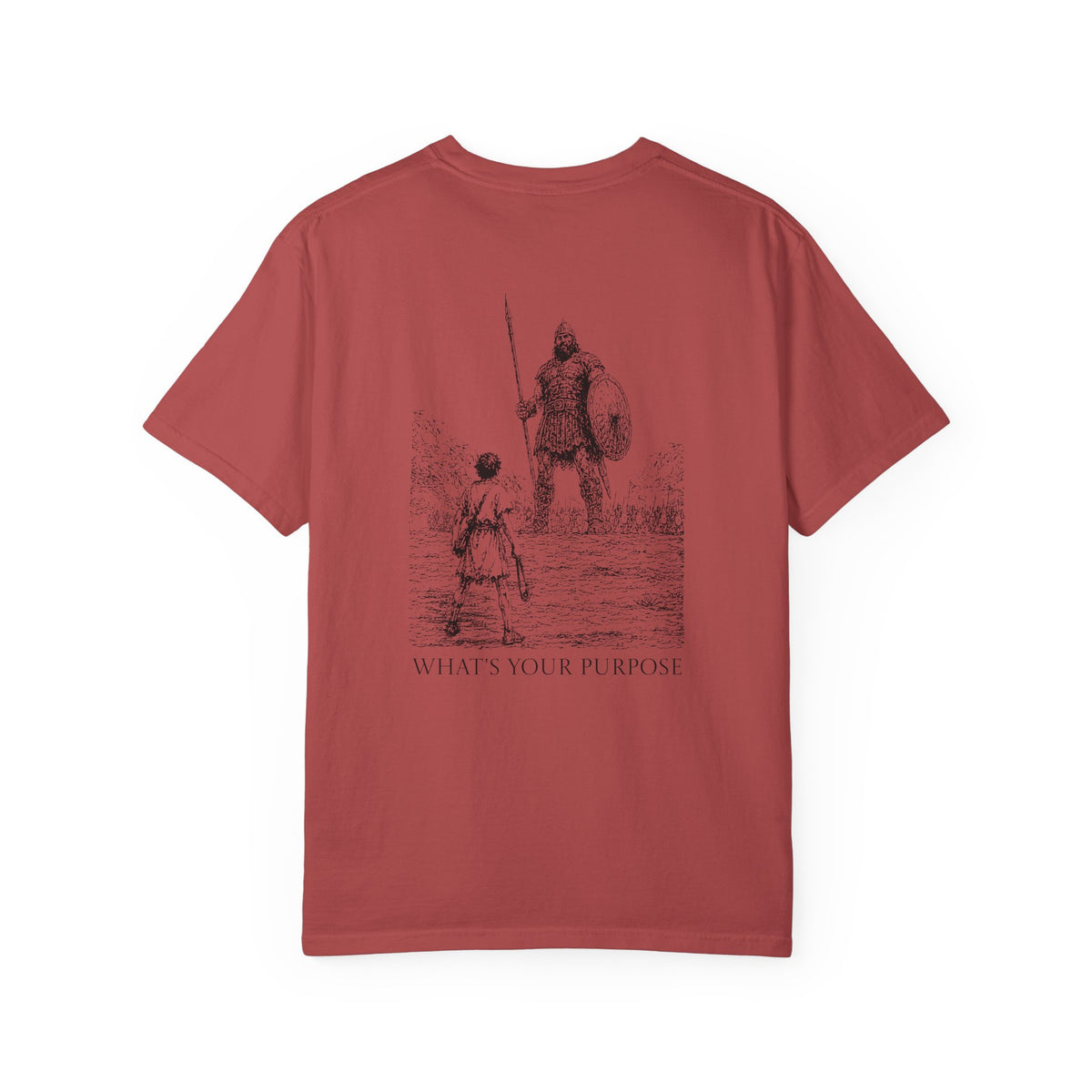 David and Goliath "What's Your Purpose" - Comfort Colors