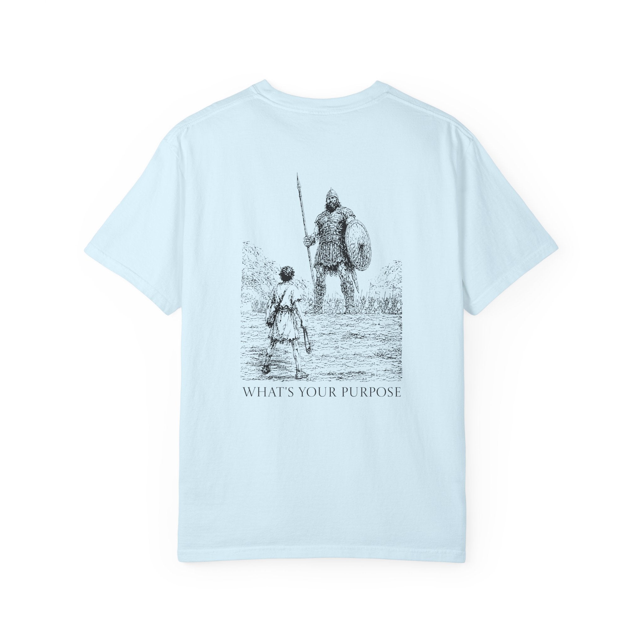 David and Goliath "What's Your Purpose" - Comfort Colors