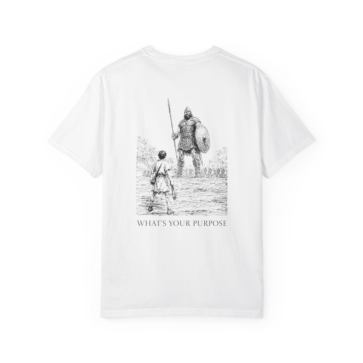 David and Goliath "What's Your Purpose" - Comfort Colors