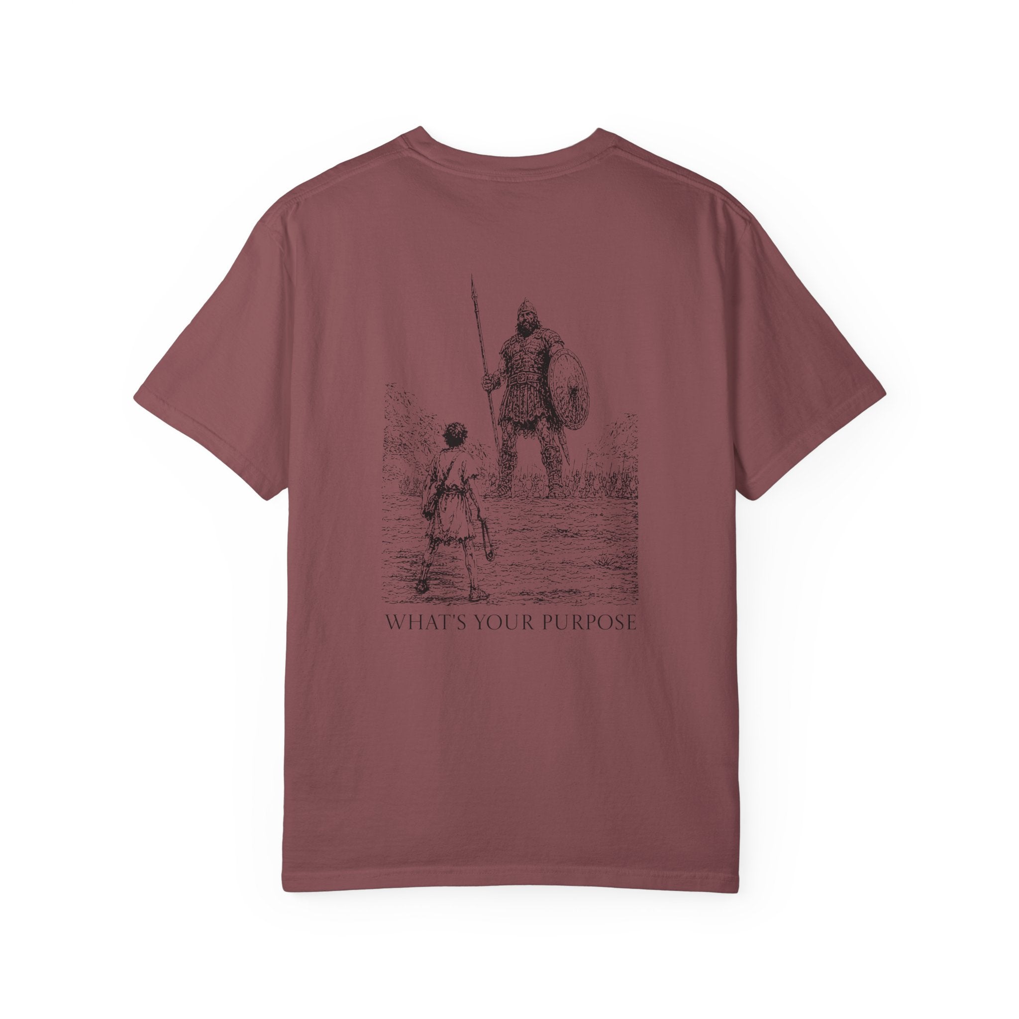 David and Goliath "What's Your Purpose" - Comfort Colors