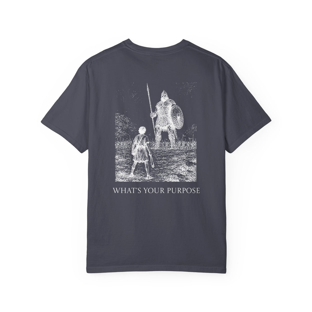 David and Goliath "What's Your Purpose" - Comfort Colors
