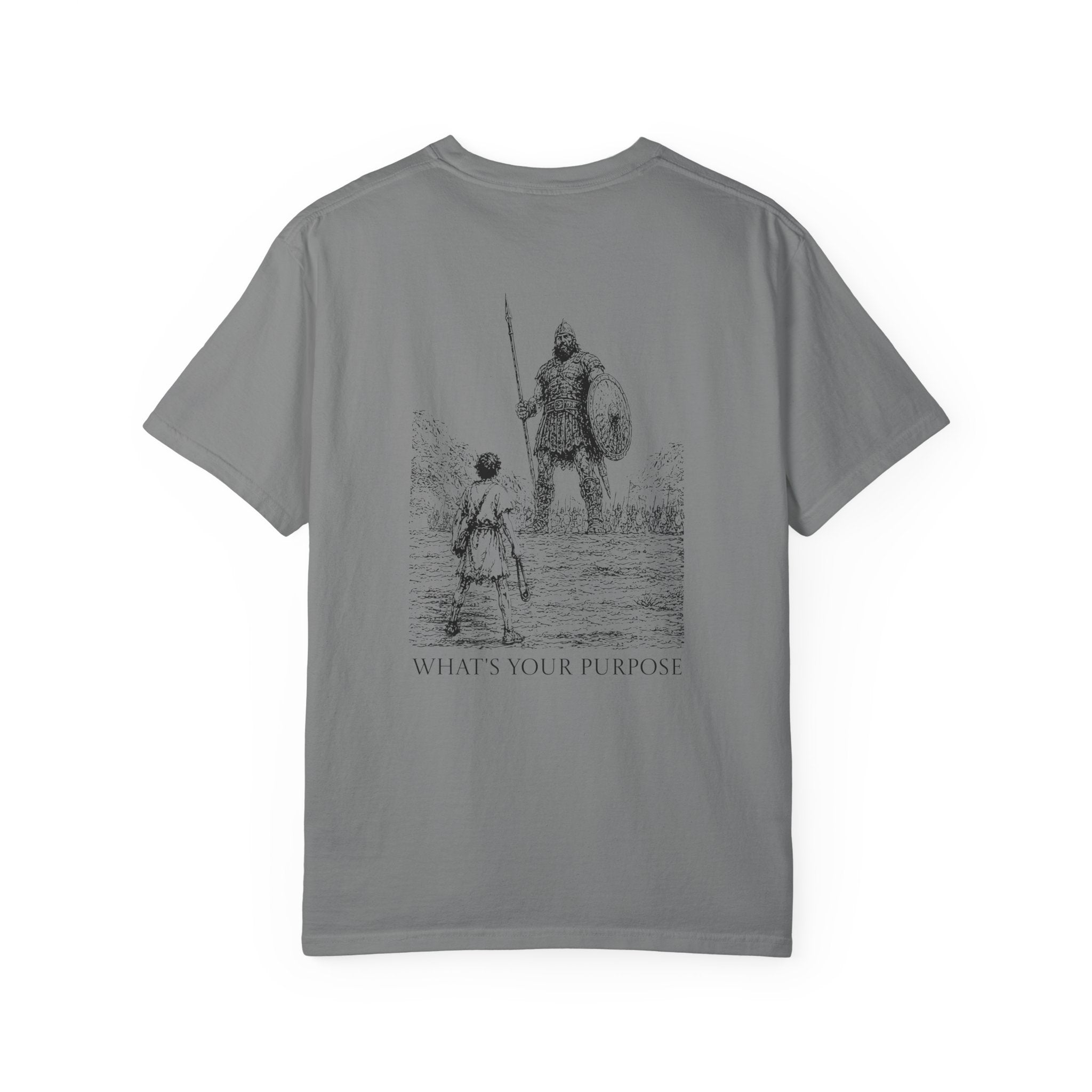 David and Goliath "What's Your Purpose" - Comfort Colors