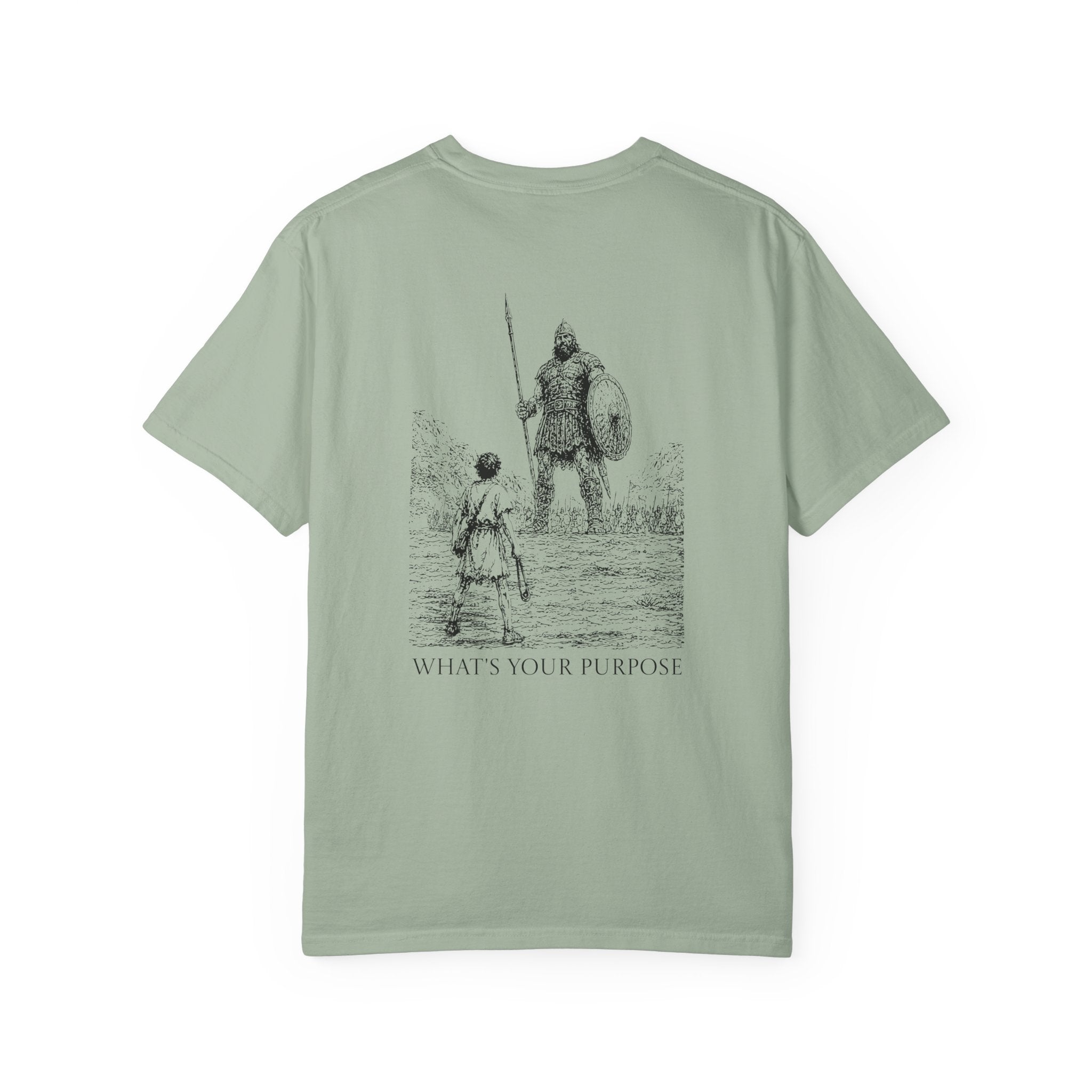 David and Goliath "What's Your Purpose" - Comfort Colors