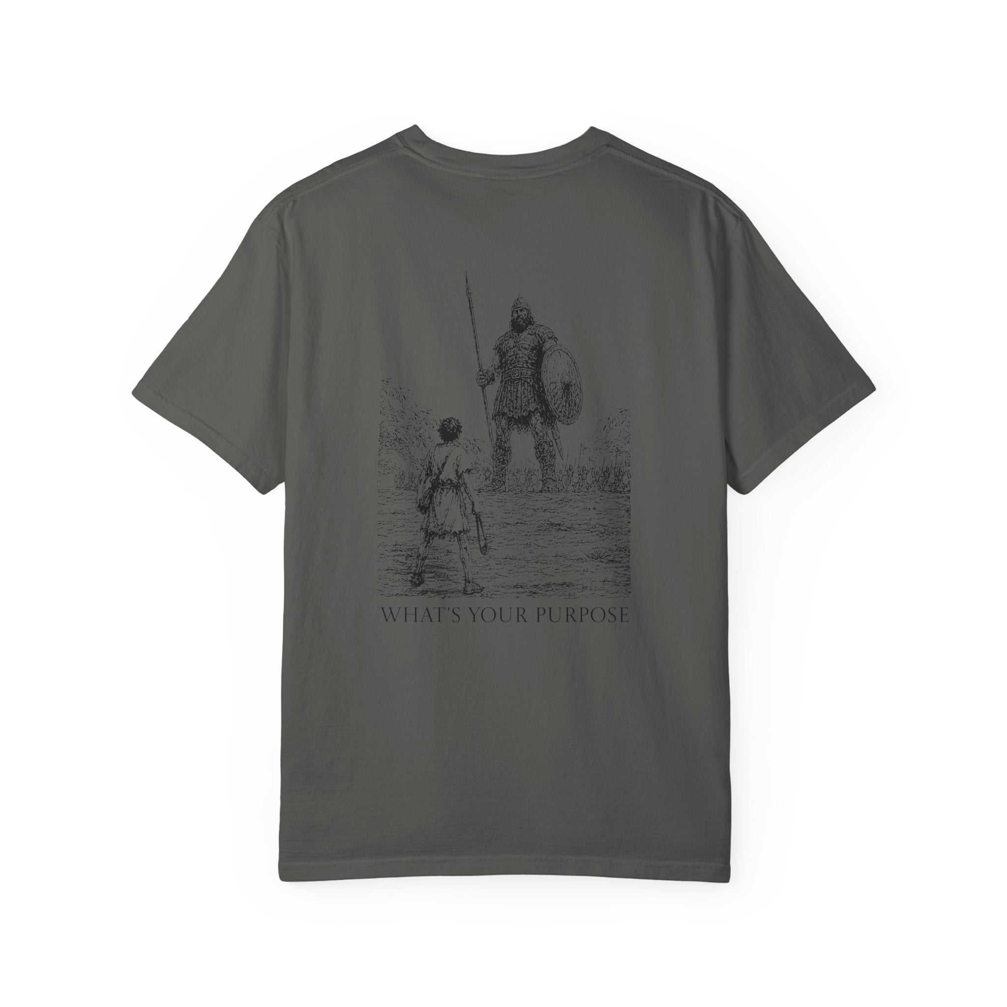 David and Goliath "What's Your Purpose" - Comfort Colors