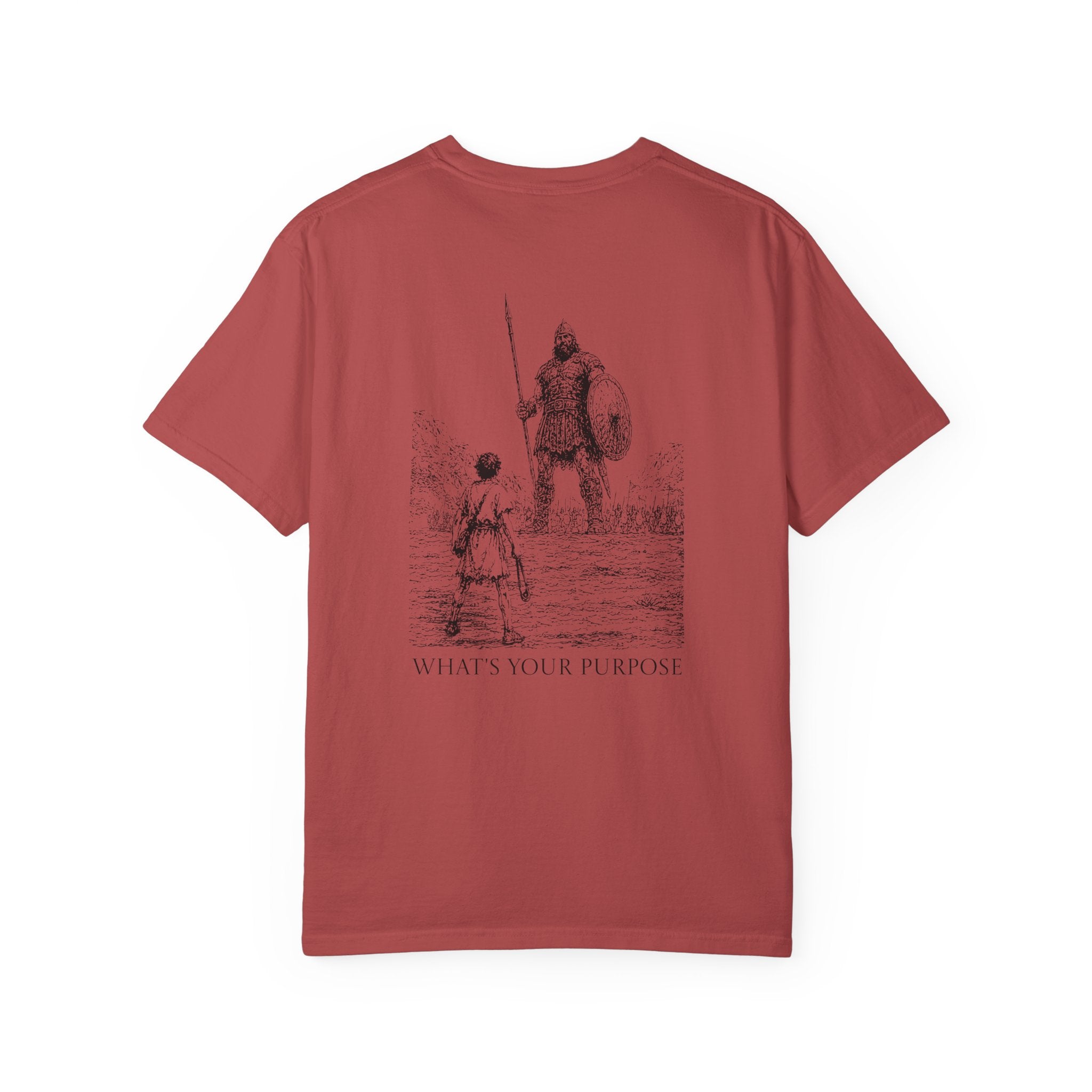 David and Goliath "What's Your Purpose" - Comfort Colors