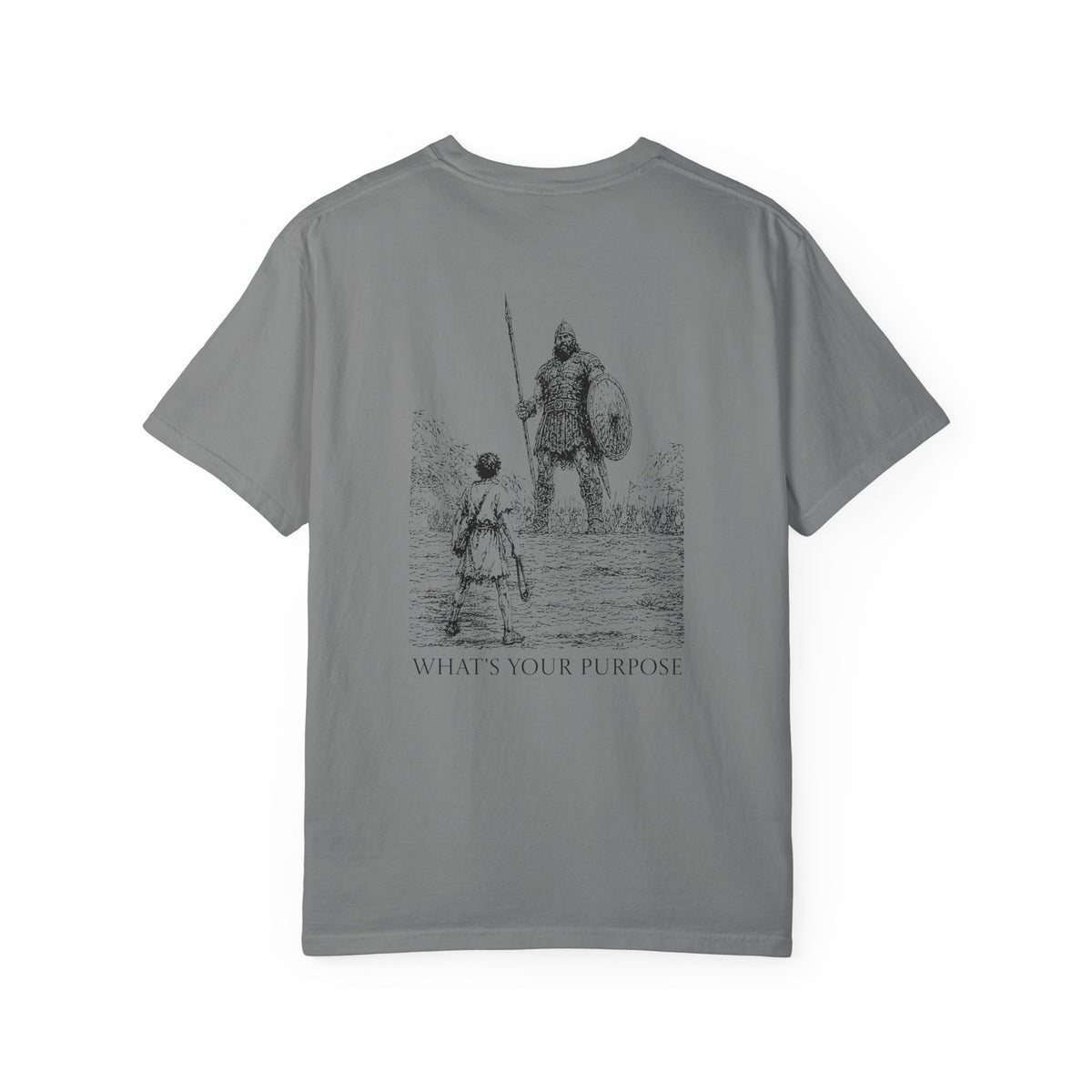 David and Goliath "What's Your Purpose" - Comfort Colors