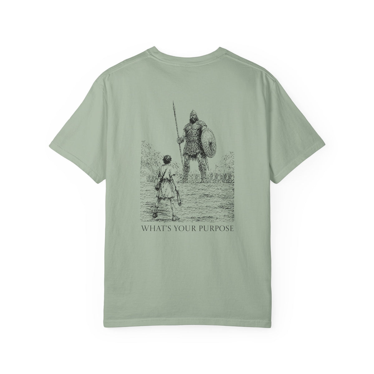 David and Goliath "What's Your Purpose" - Comfort Colors