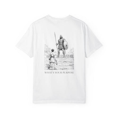 David and Goliath "What's Your Purpose" - Comfort Colors