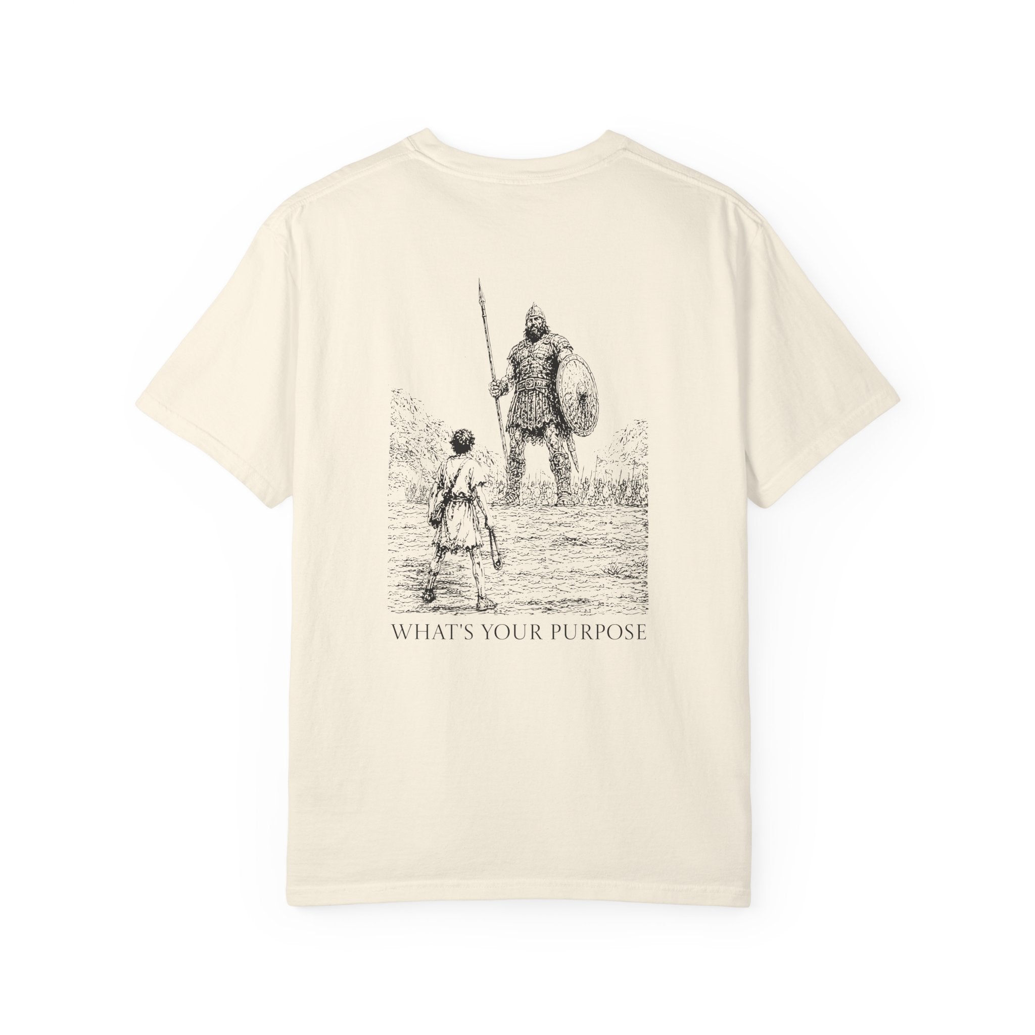 David and Goliath "What's Your Purpose" - Comfort Colors