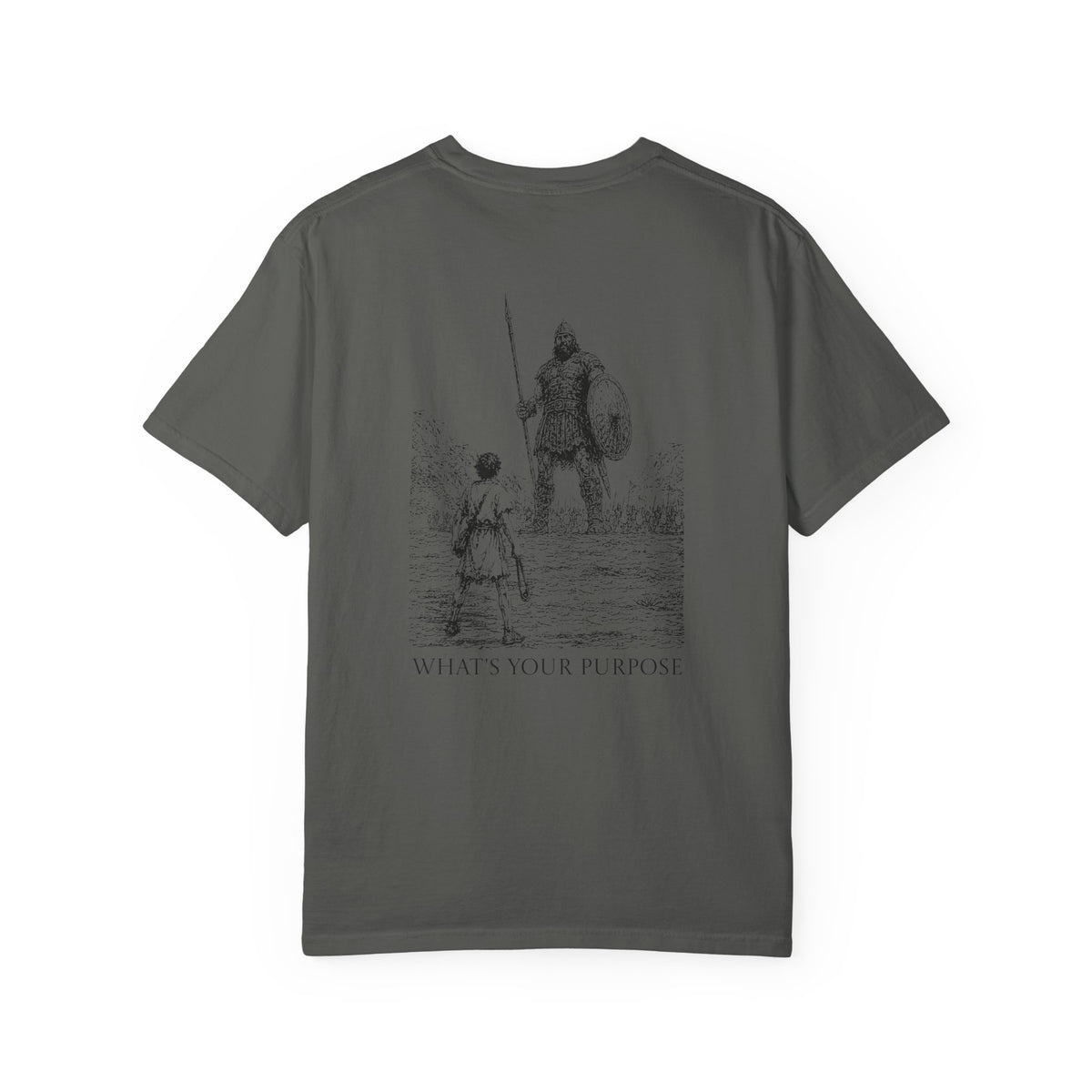 David and Goliath "What's Your Purpose" - Comfort Colors