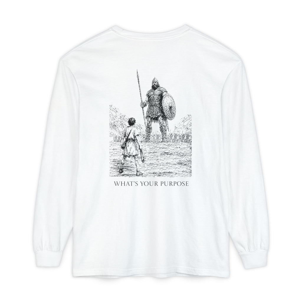 What's Your Purpose - Comfort Colors