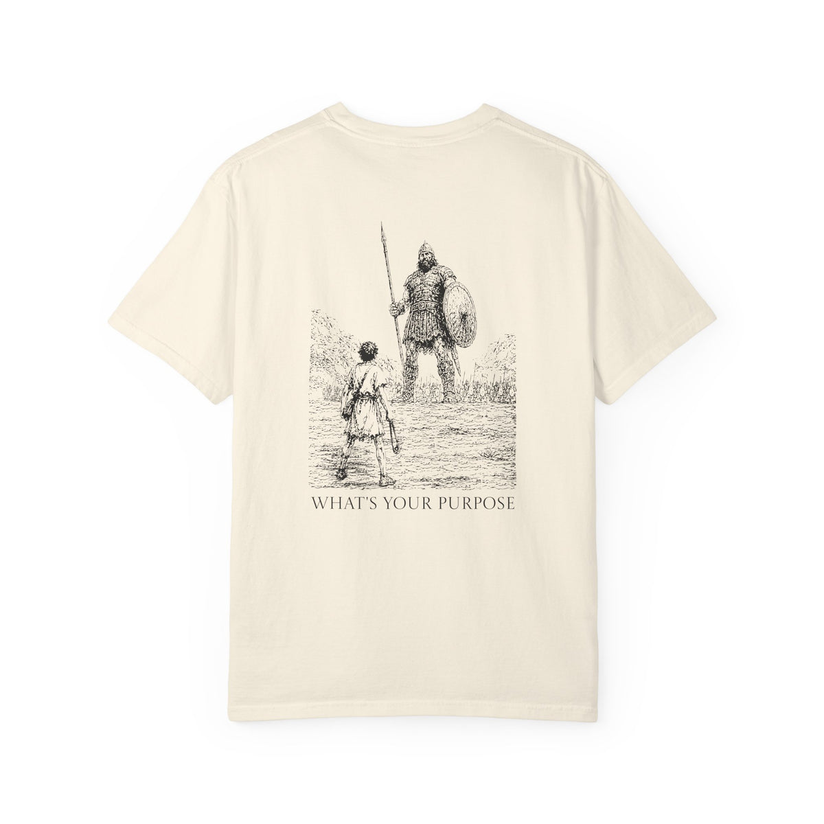 David and Goliath "What's Your Purpose" - Comfort Colors