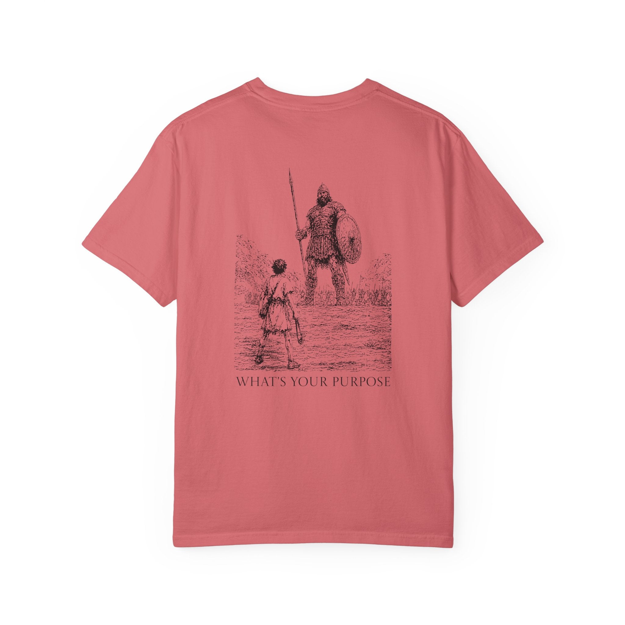 David and Goliath "What's Your Purpose" - Comfort Colors